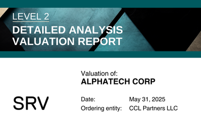 BVM Level 2 Company Valuation Report
